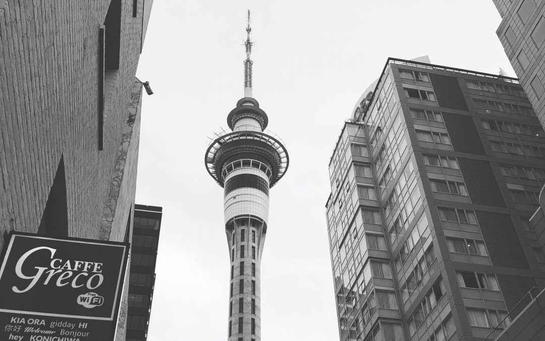 Conjoint degrees in New Zealand