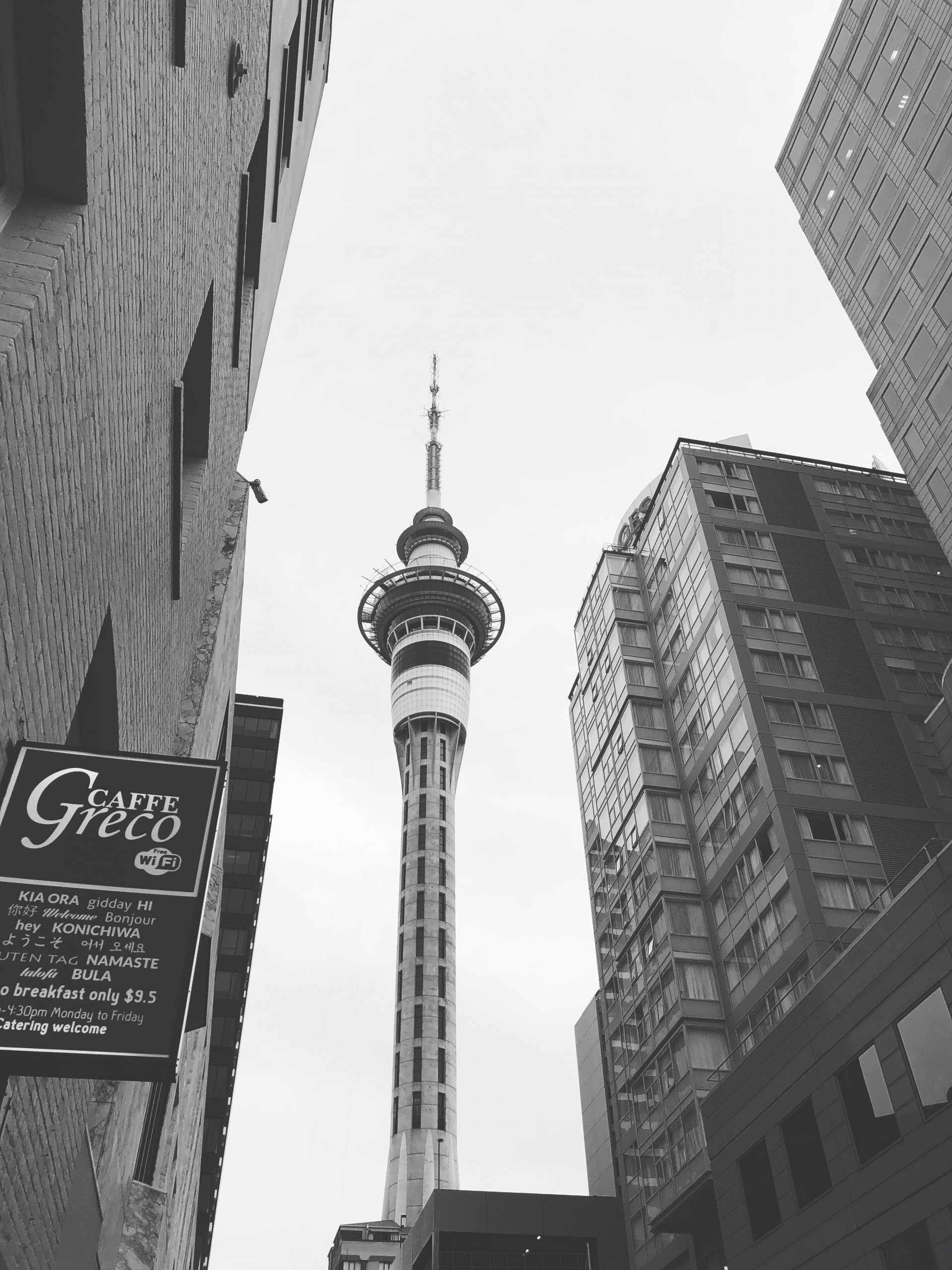 Conjoint degrees in New Zealand