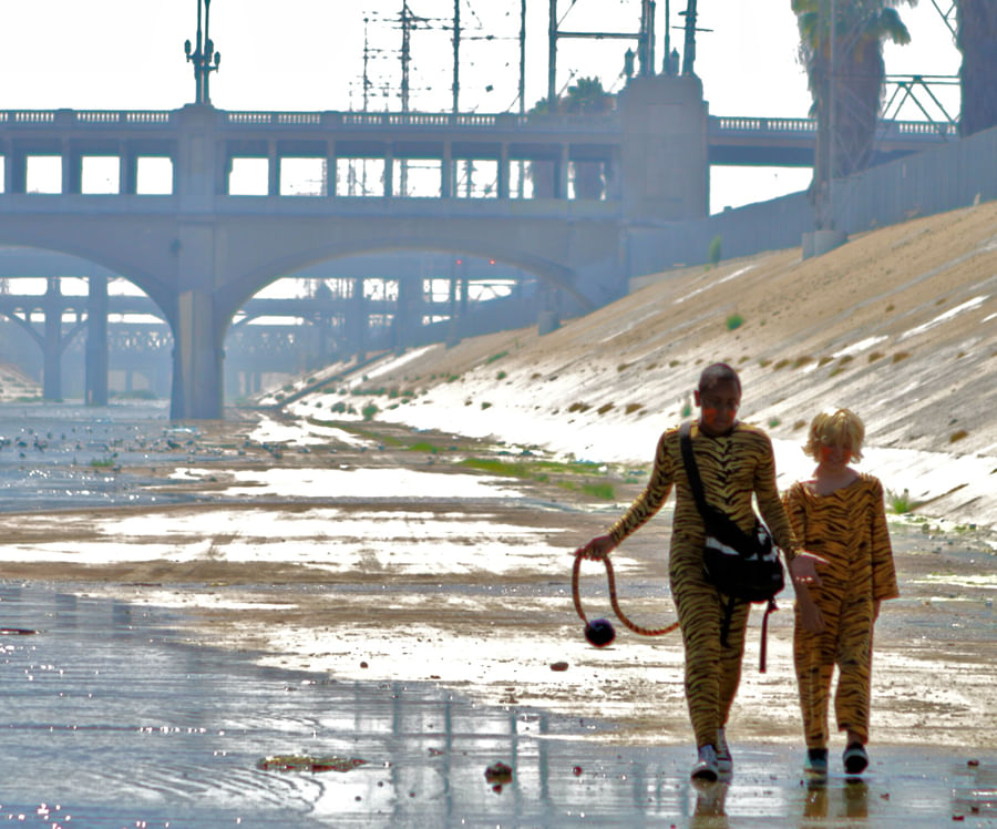 Inspiring Documentaries To Watch As A Student