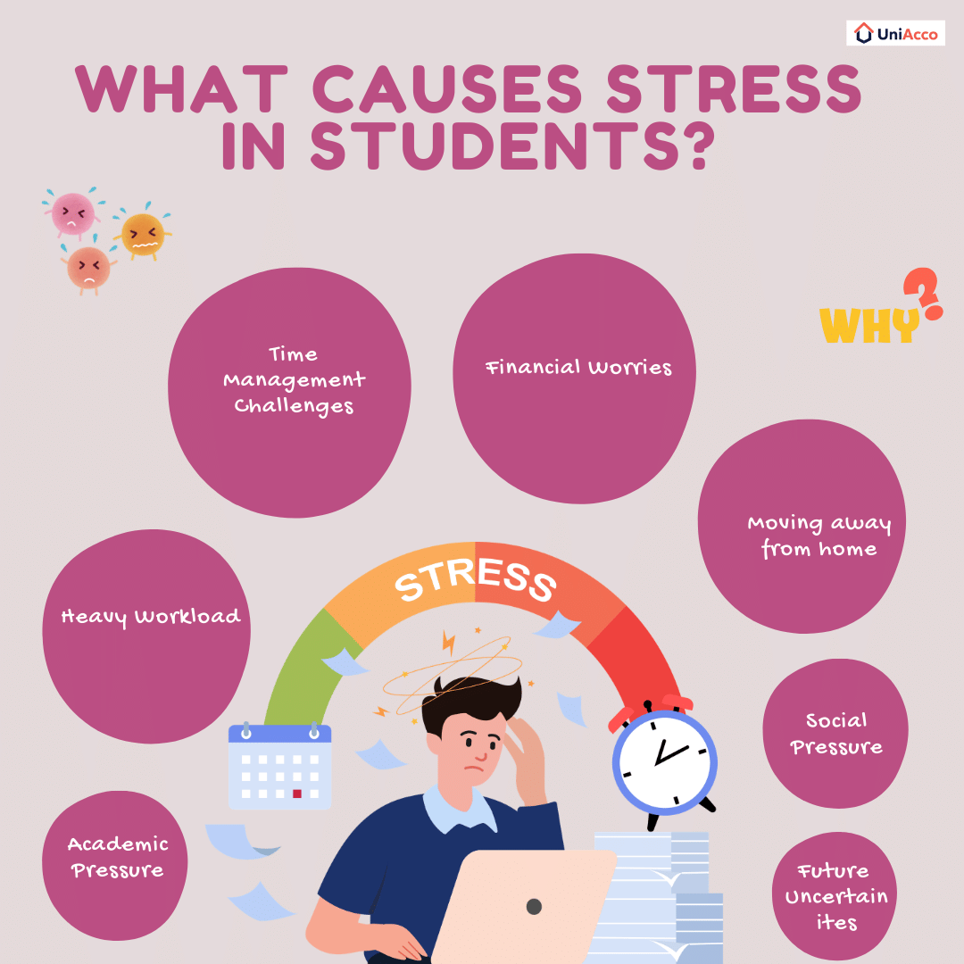 what causes stress in students