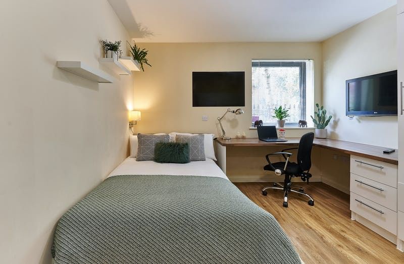 birkbeck university of london 