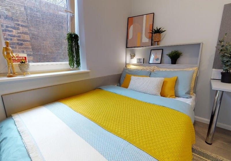 Room of iQ Will Wyatt Court Accommodation