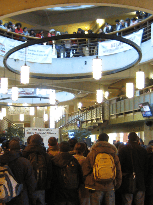 Everything Here’s about York University