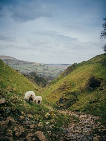 Landscapes In The UK