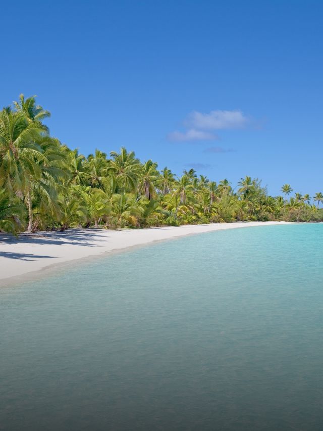 The World’s Top 5 Beaches