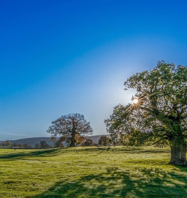 World’s Sunniest Cities for Your Sunny Vacations!