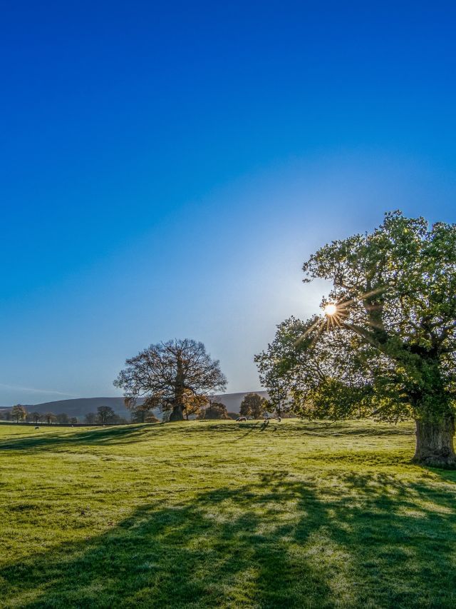 World’s Sunniest Cities for Your Sunny Vacations!