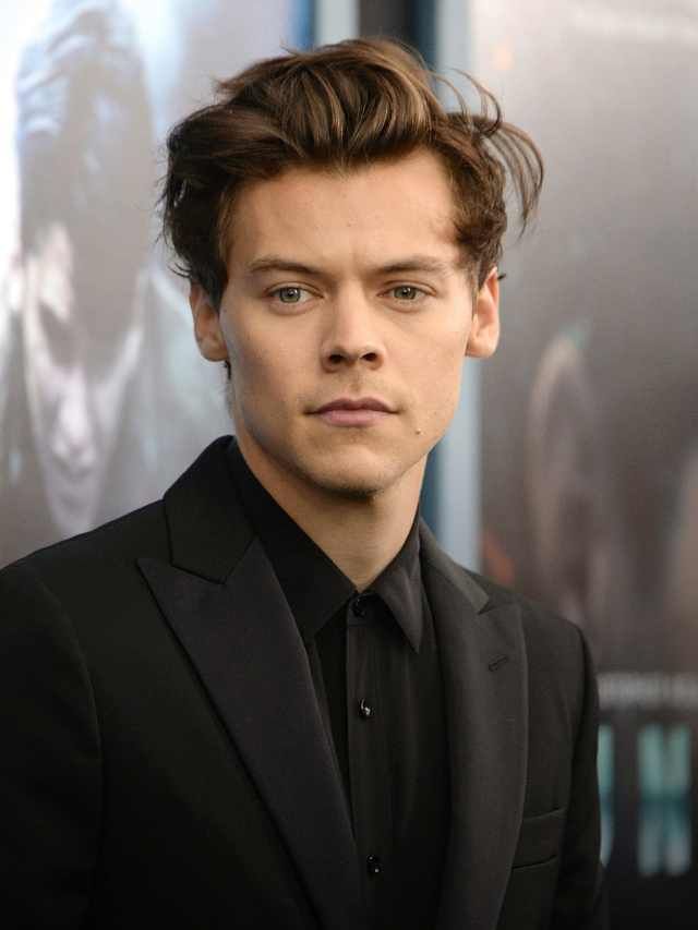 Harry Styles Qualification Details