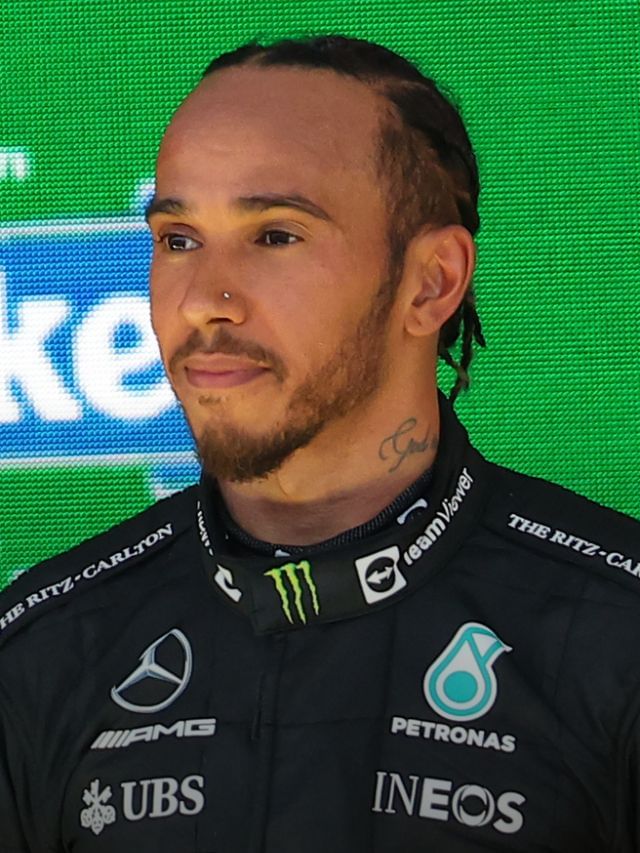Lewis Hamilton Qualification Details