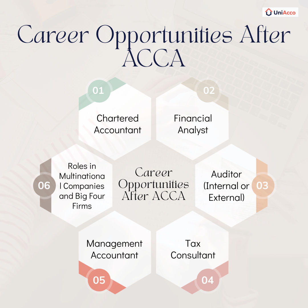 Career Opportunities after Acca