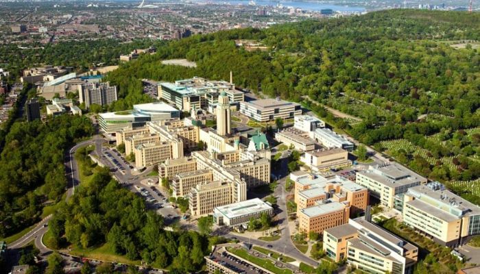 University Of Montreal