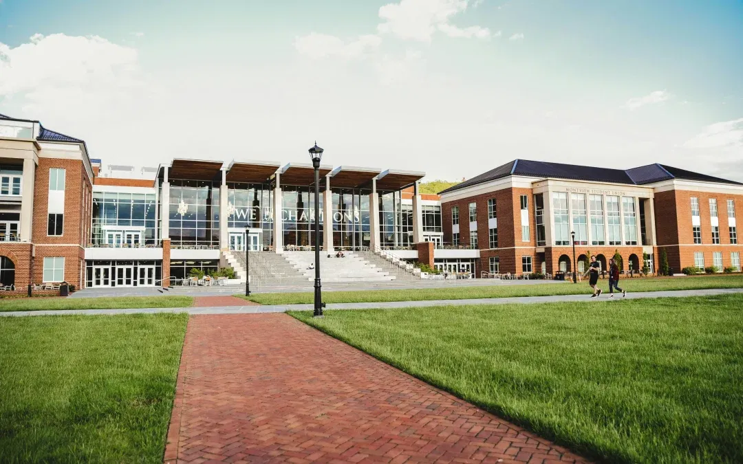 College Vs University: What Are The Key Differences?