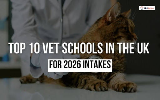 Top 10 Vet Schools in the UK for 2026 Intakes