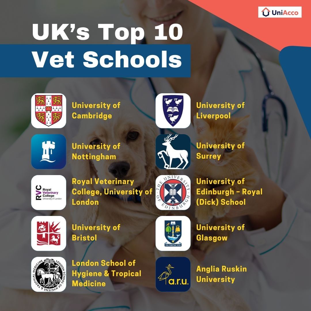 Top 10 Veterinary Universities in the UK
