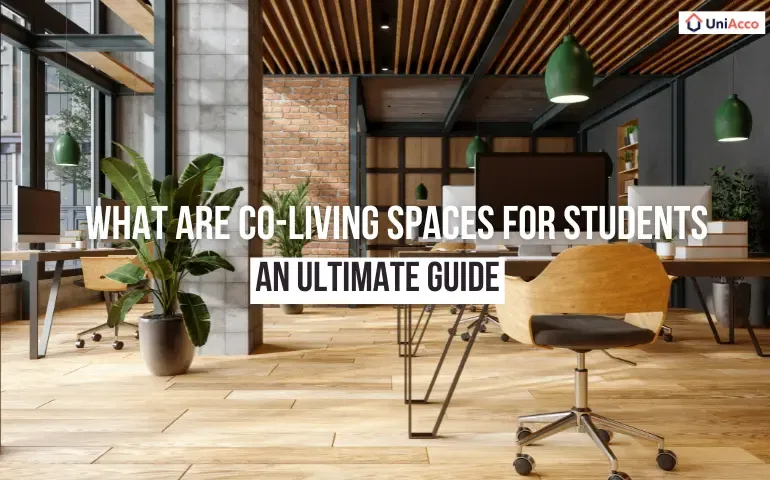 An Ultimate Guide to What Are Co-Living Spaces for Students