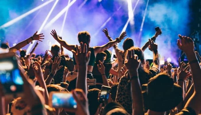 A crowd of people at a concert