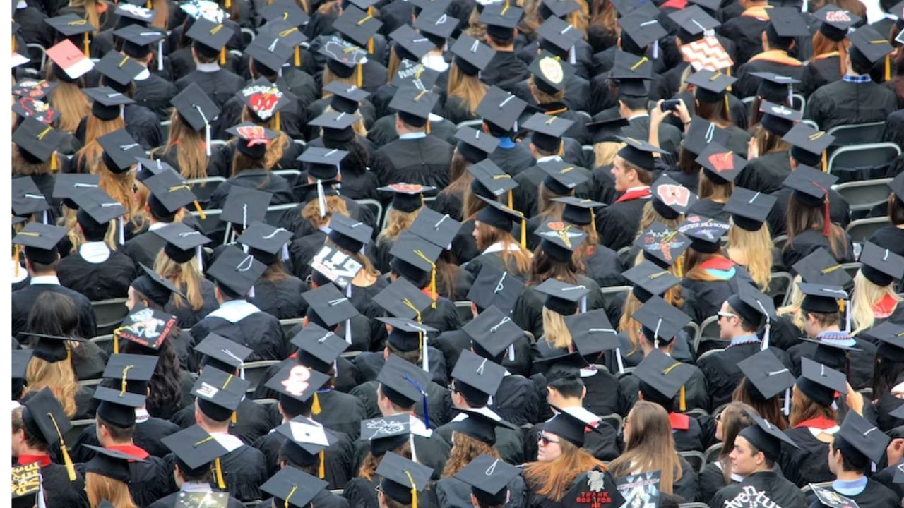 Fellowship Vs Scholarship: Know The Differences