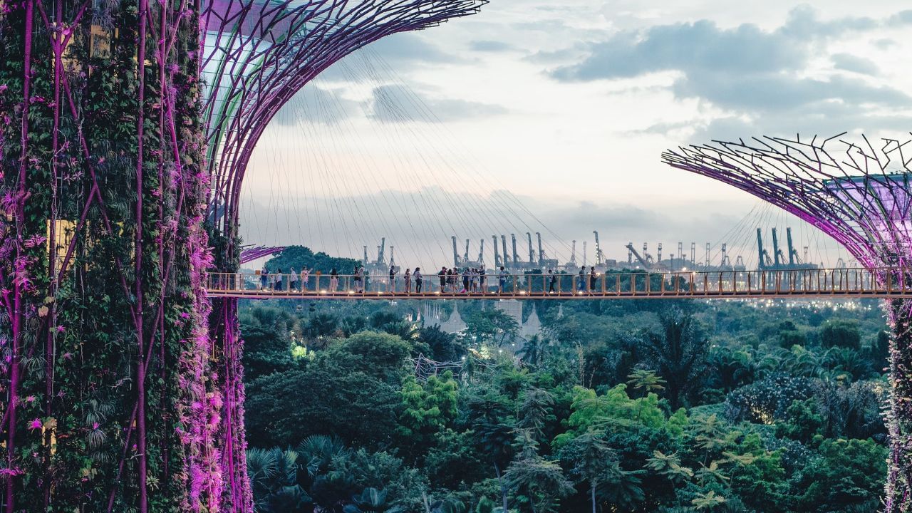  Cost Of Living In Singapore Vs The UK 2025