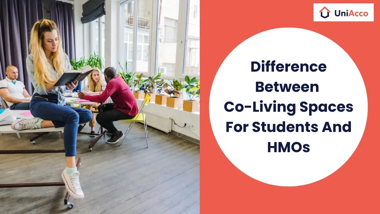 Difference Between Co-Living Space And HMO: 2025